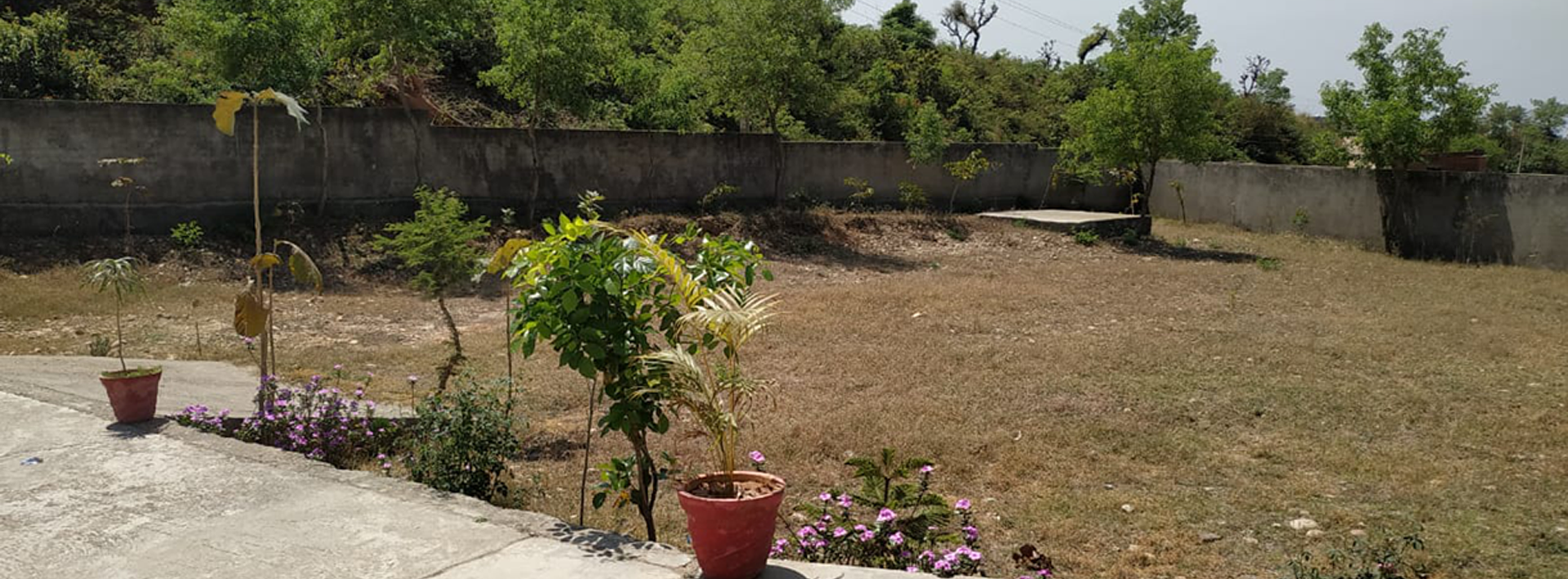 S.Sidharatha Paramedical Training Institute